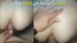 مغربية تشيلة من الطيز وتصرخ - مقطع سكس قصير ساخن